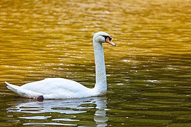 新世界预载时间公布 常见问题答疑